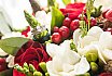 Winter Elopements
