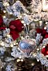 Winter Elopements